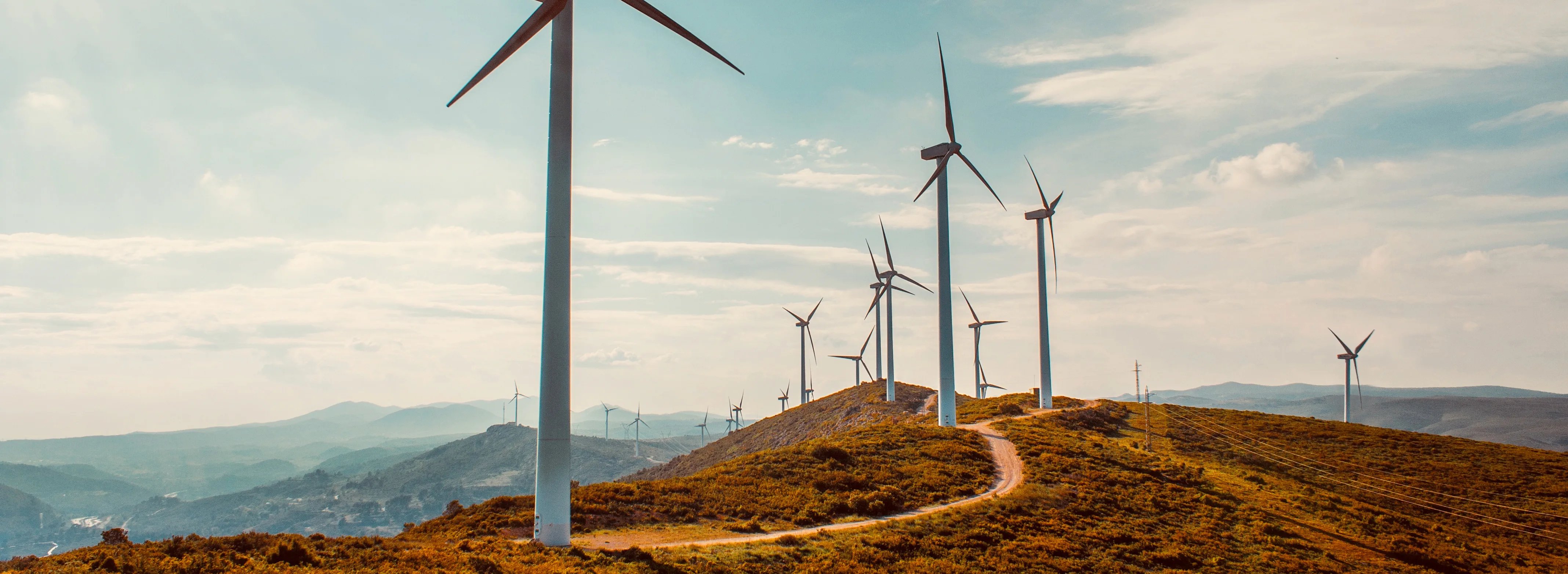 windfarm