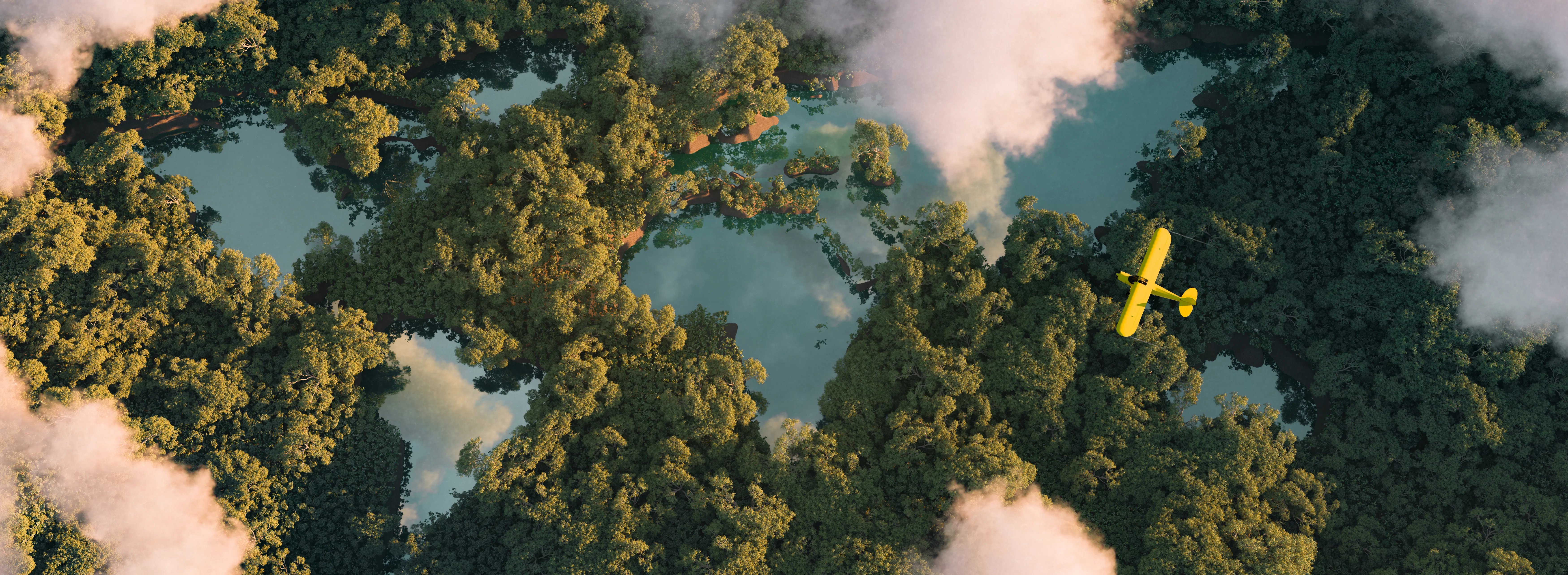plane flying over forest