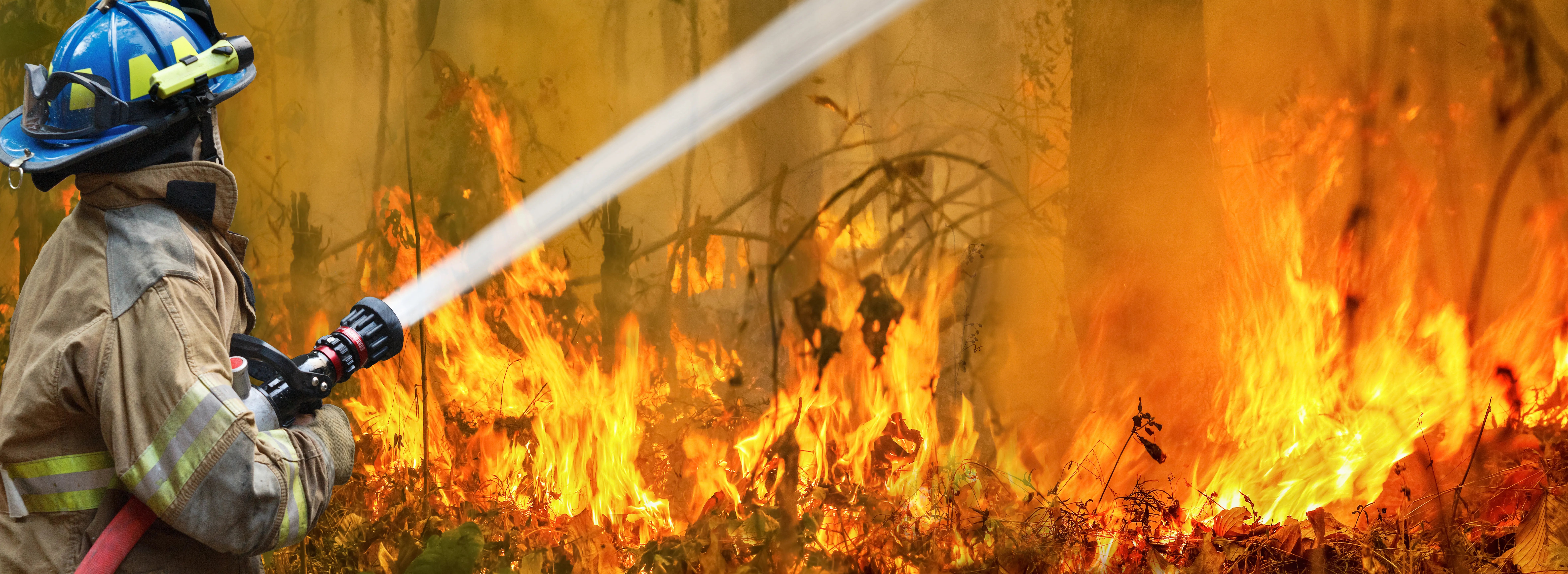 fireman holding a water hose putting out bushfires