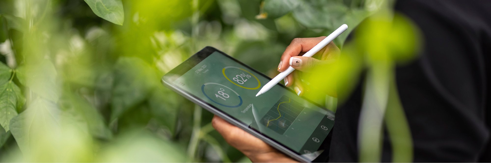 data on a tablet